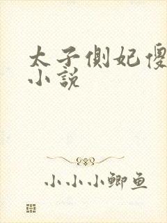 太子侧妃傻乎乎小说