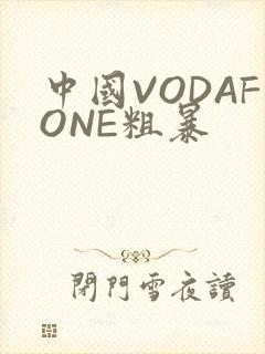 中国VODAFONE粗暴