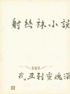 射丝袜小说