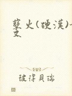 孽火(硬汉)今又