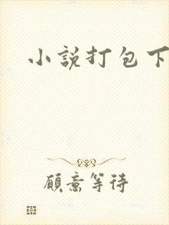 小说打包下载