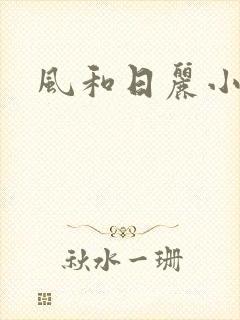 风和日丽小说