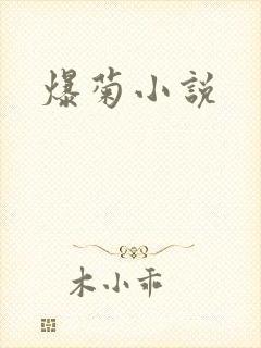 爆菊小说