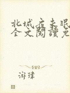 北城夜未眠小说全文阅读免费
