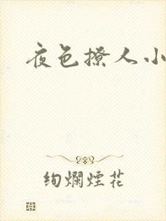 夜色撩人小说