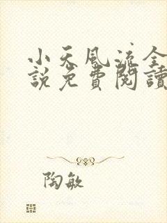 小天风流全集小说免费阅读
