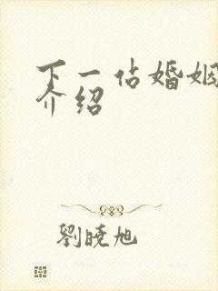 下一站婚姻剧情介绍