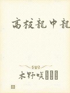 高校龙中龙