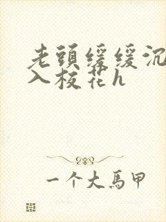 老头缓缓沉腰进入校花h