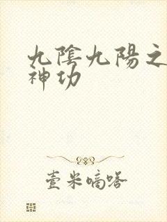 九阴九阳之阴阳神功