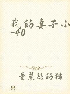 我的妻子小谨1-40