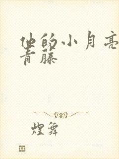 他的小月亮by青藤