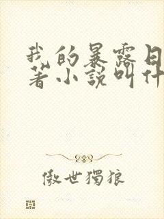 我的暴露日记原著小说叫什么