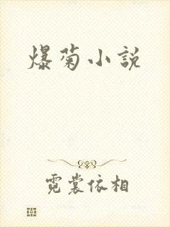 爆菊小说