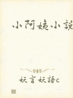 小阿姨小说