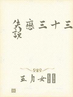 失恋三十三天小说