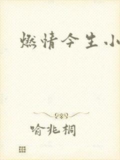 燃情今生小说