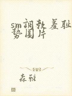 sm调教羞耻姿势图片