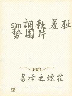 sm调教羞耻姿势图片