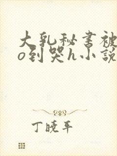 大乳秘书被cao到哭h小说