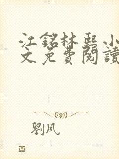 江铭林熙小说全文免费阅读