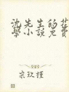 沈先生的花式教学小说免费