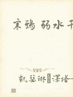寒鸦 弱水千流