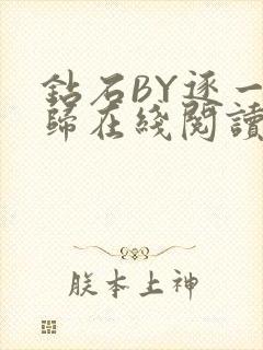 钻石BY逐一而归在线阅读