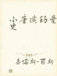 小唐璜的爱情历史