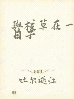 与校草在一起的日子