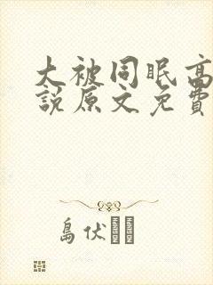 大被同眠高粱小说原文免费阅读