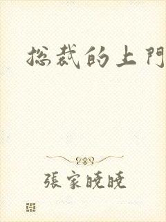 总裁的上门女婿