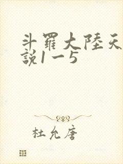 斗罗大陆天狂传说1一5