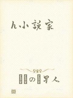 h小说家