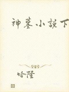 神墓小说下载