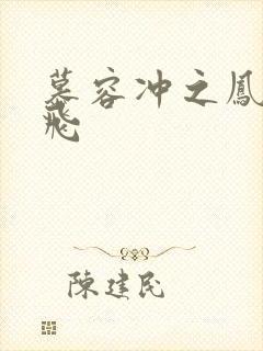 慕容冲之凤凰于飞