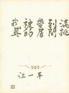 我被带到满是玩具的房间挑调游戏