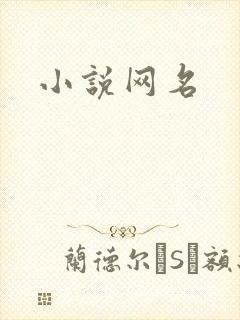 小说网名