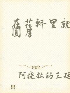 在花轿里就开始圆房