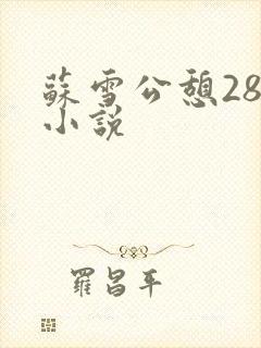 苏雪公憩28篇小说
