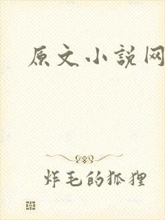 原文小说网