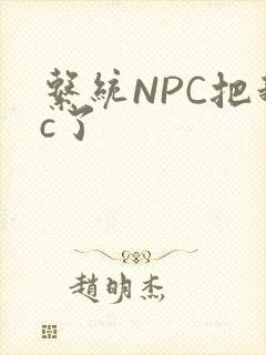 系统NPC把我c了