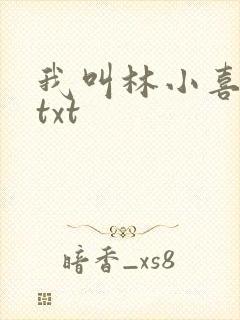 我叫林小喜小说txt