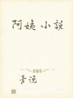 阿姨 小说