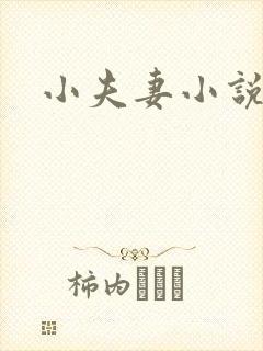 小夫妻小说