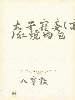 太子宠妾(高肉)红烧肉包