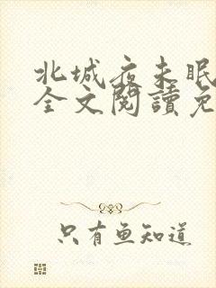 北城夜未眠小说全文阅读免费