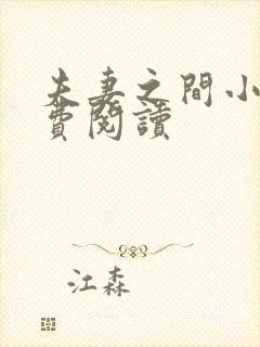 夫妻之间小说免费阅读