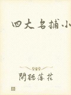 四大名捕小说