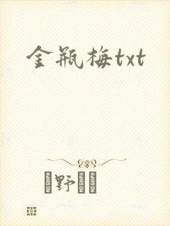 金瓶梅txt